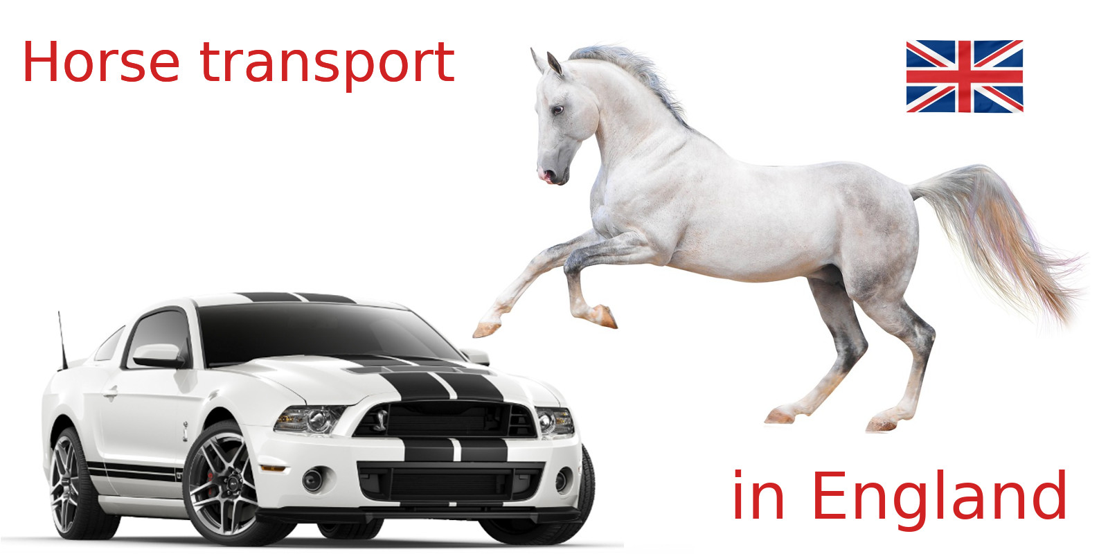 Horse transport in UK